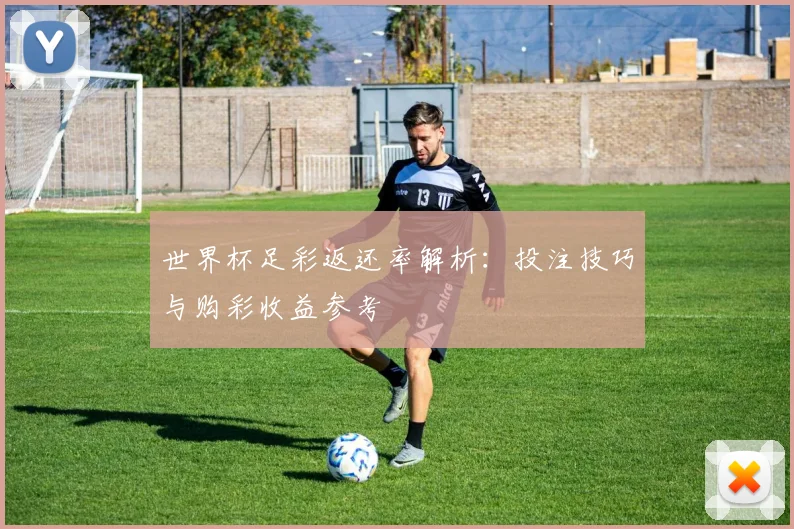 世界杯足彩返还率解析：投注技巧与购彩收益参考